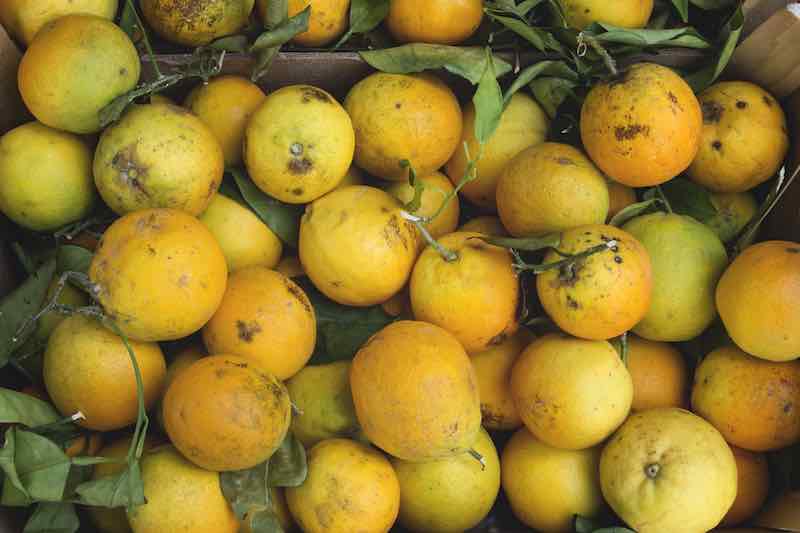 citrus fruit to enhance immunity