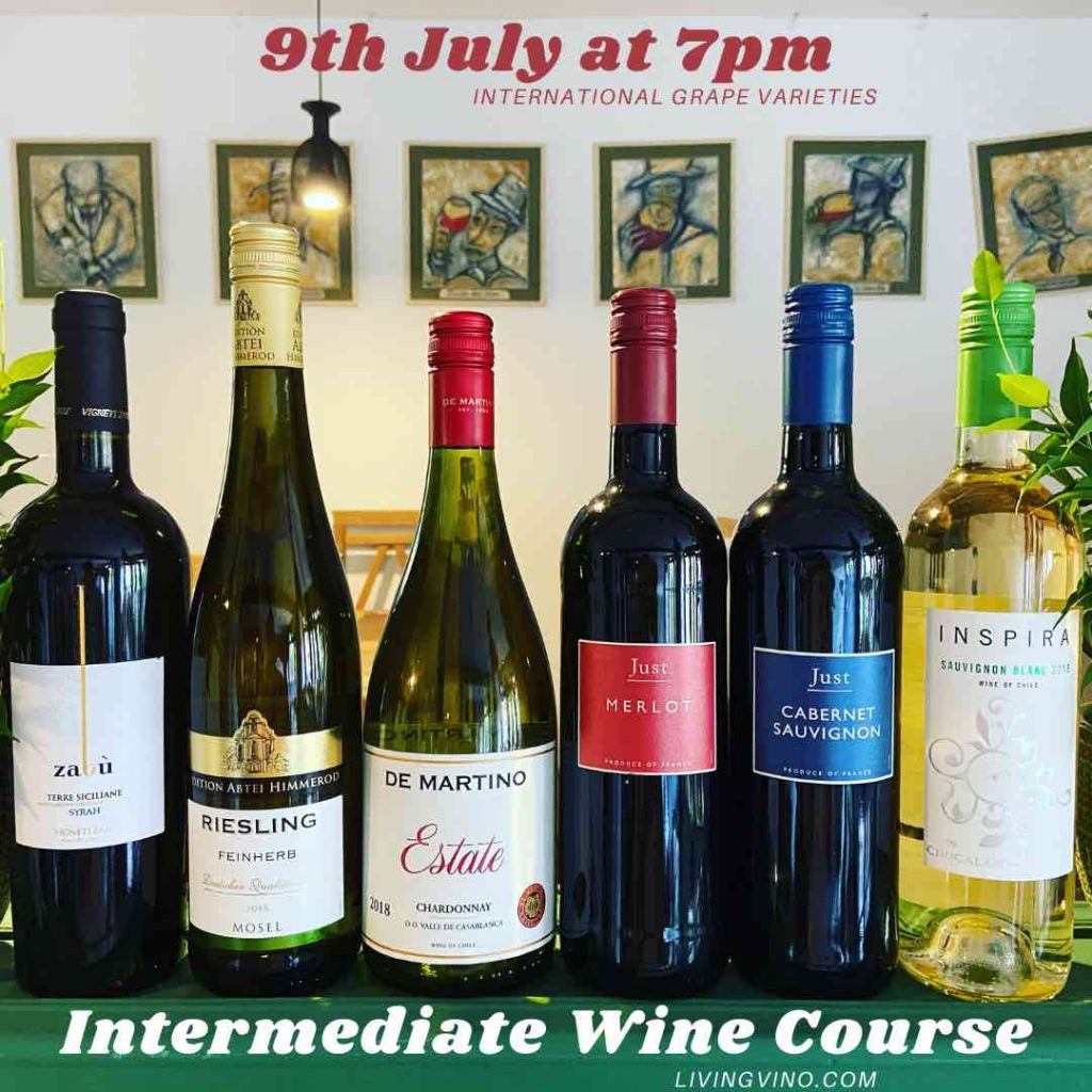 wine courses - Tbilisi wine school